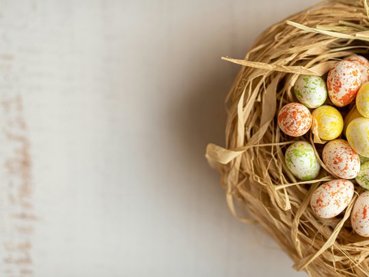 Bunter Osternest mit gefleckten Eiern auf hellem Hintergrund