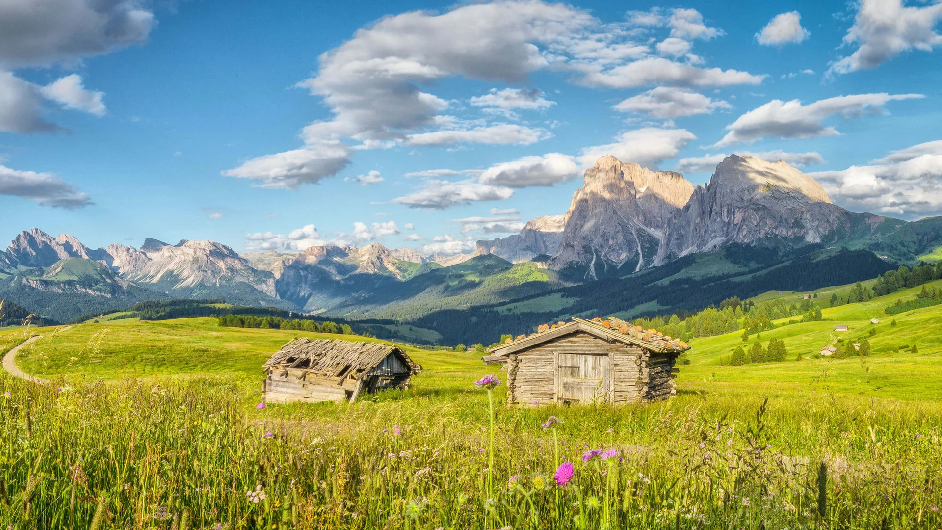 Infinite attività sull’Alpe di Siusi