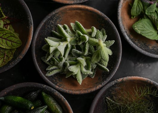 Designhotel Südtirol: Hotel Lamm Designhotel Südtirol: Hotel Lamm