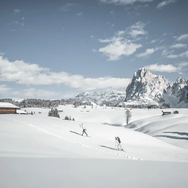 Mountain Comfort