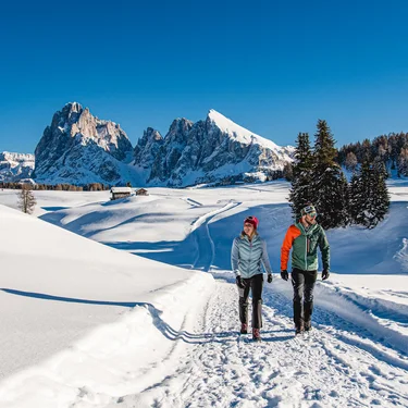 Dolomiti Springdays S (Shortstay) 4=3