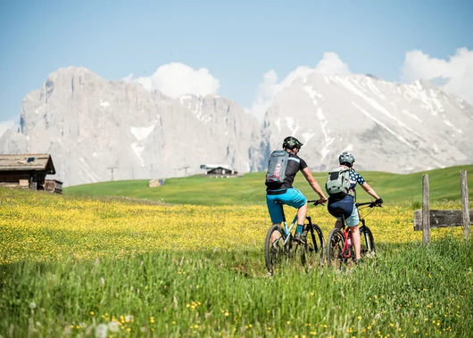 Wanderhotel Seiser Alm